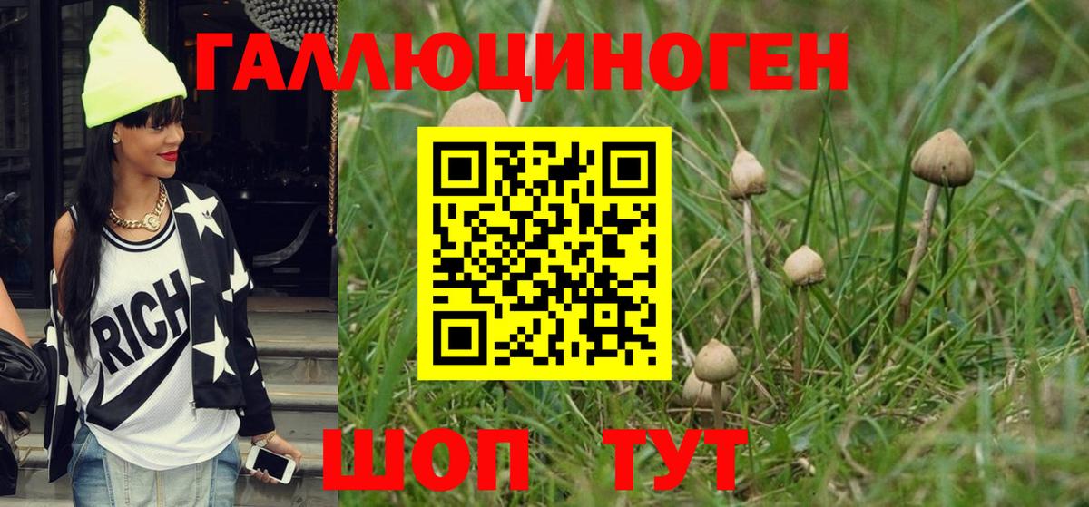 Галлюциногенные грибы Magic Shrooms  Галлюциногенные грибы прущие грибы  Малгобек  Вход с VPN 
