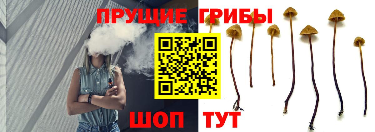 Псилоцибиновые грибы Magic Shrooms Малгобек